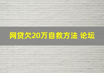 网贷欠20万自救方法 论坛